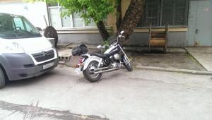 IMAG2206.jpg