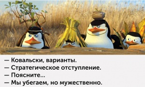 preview-300x180-300-1427443849.jpg