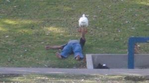 249513_original.jpg