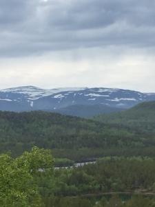 IMG-20150622-WA0006.jpg