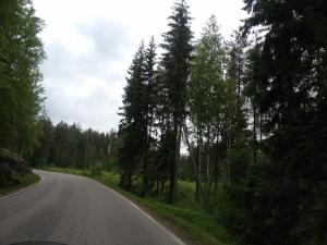 IMG_2357.JPG