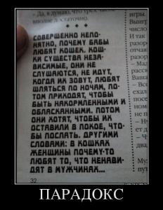 0824212_paradoks.jpg