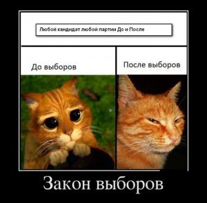 1432031103_21.jpg