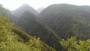 IMAG2268.jpg