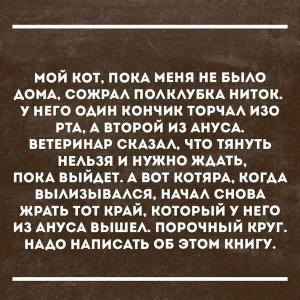 1469753496-75c26efab2d22f9b03b1014eaa4d690a.jpeg