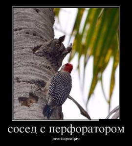1460431159_6.jpg