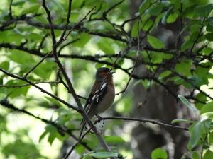 DSC05070.JPG