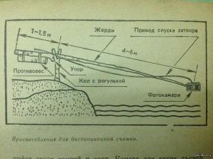 селфии.jpg