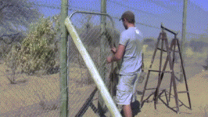 eea6d34fcbf0c6c1691521f92e3f04cc.gif
