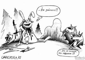 fun_images22.jpg
