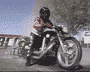 harley_burn.gif
