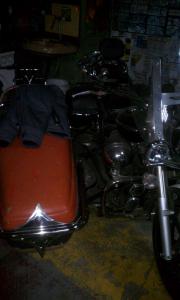 IMAG0425.jpg