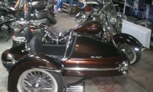 IMAG0488.jpg
