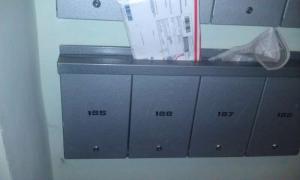 IMAG0370.jpg