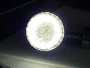 1_2011-03-04.jpg
