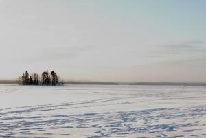 DPP_0036.JPG