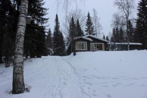 DPP_0026.JPG