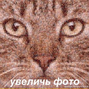 IMG-20170203-WA0000.jpg