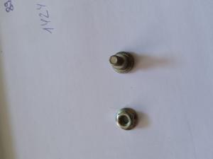 20150310_125151.jpg