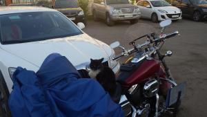 IMG-20150525-WA0016.jpeg