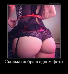 IMG-20141114-WA0000.jpg