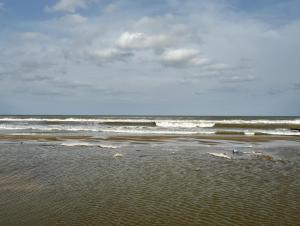IMG_1769.JPG