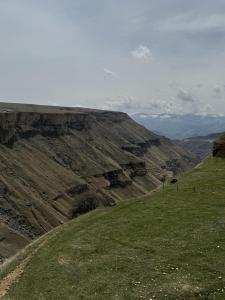 IMG_E1838.JPG