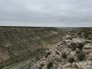 IMG_1735.JPG