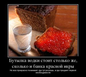1437527007_demotivatory_01.jpg
