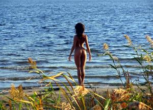 5351075_large.jpg