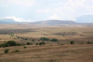 IMG_1461.JPG